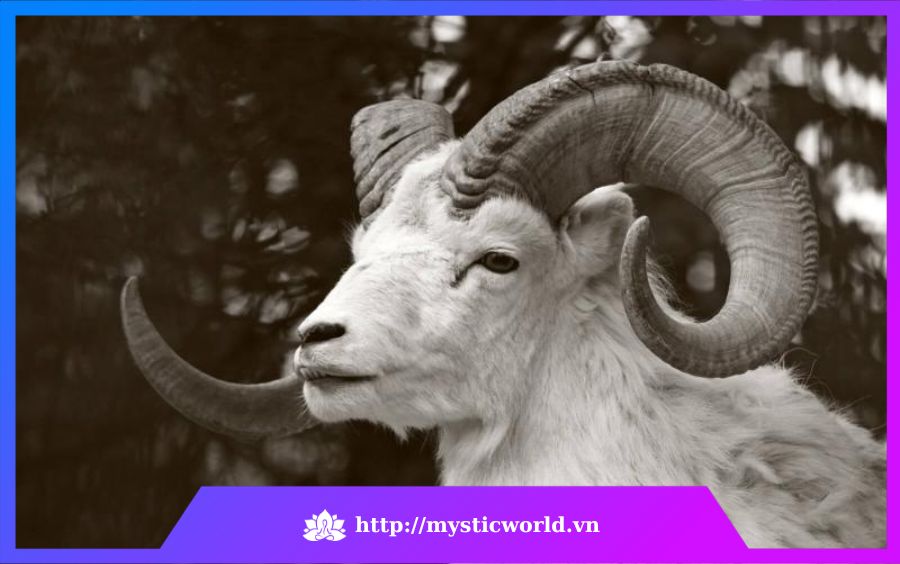 Biểu tượng cung Bạch Dương - Dương Cưu 