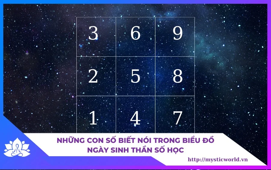 Nhung-con-so-biet-noi-trong-bieu-do-ngay-sinh-than-so-hoc
