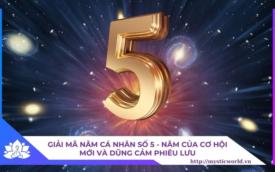 NĂM CÁ NHÂN SỐ 5