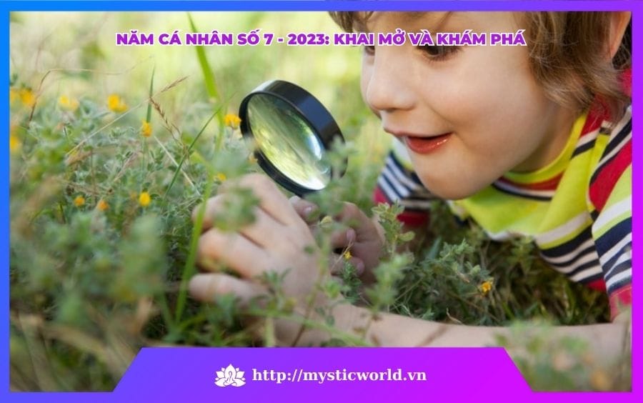 NĂM CÁ NHÂN SỐ 7 - NĂM 2023