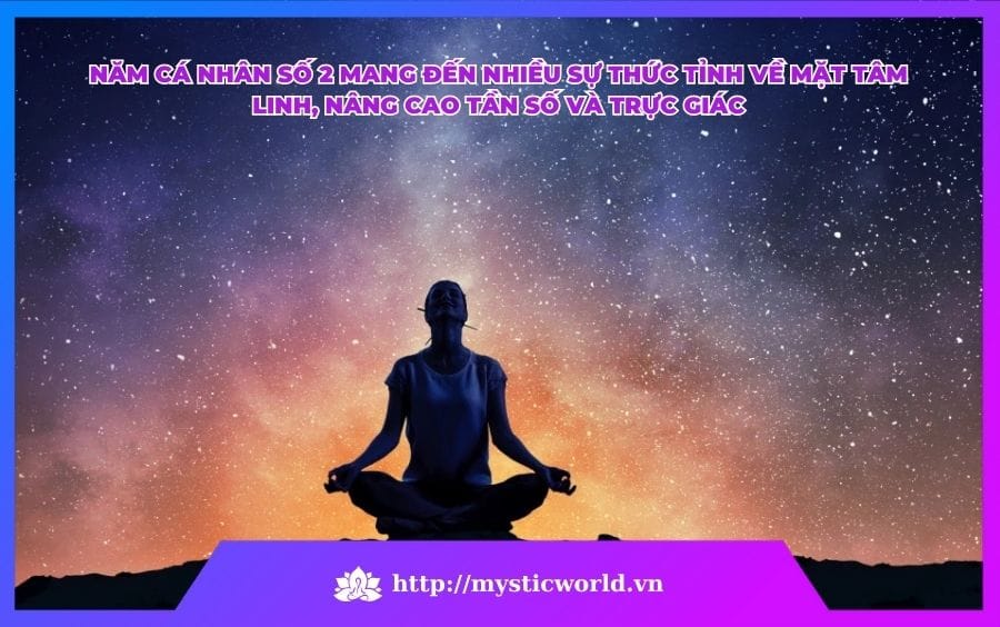 NĂM CÁ NHÂN SỐ 2 - ĐẠI DIỆN CHO SỰ TÂM LINH THỨC TỈNH 