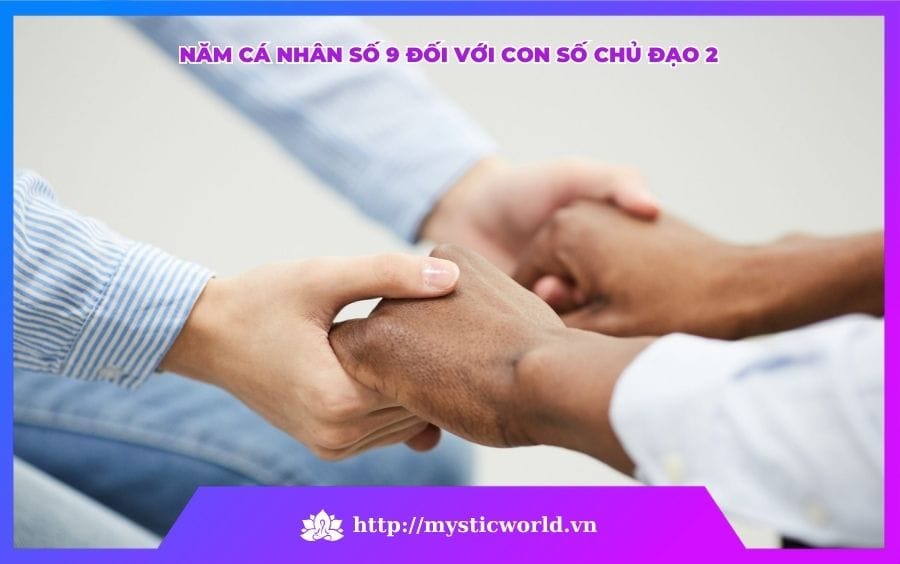 NĂM CÁ NHÂN SỐ 9 ĐỐI VỚI CON SỐ CHỦ ĐẠO 2