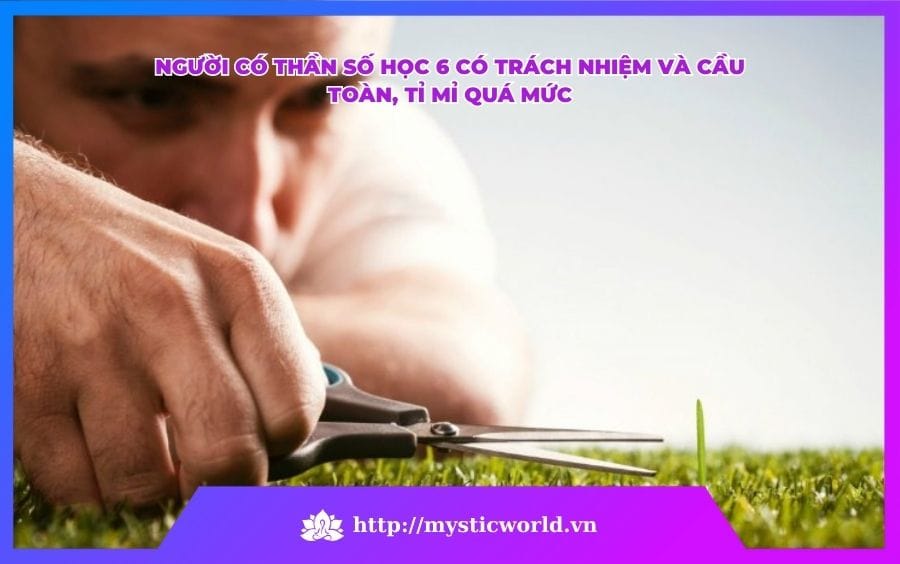 ĐIỂM YẾU CỦA THẦN SỐ HỌC SỐ 6