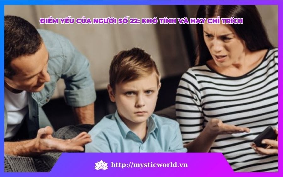 ĐIỂM YẾU CỦA THẦN SỐ HỌC SỐ 22