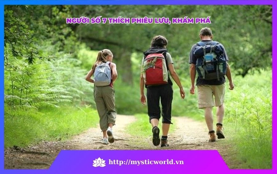 Người có linh hồn 7 là người yêu thích các trải nghiệm và học hỏi nhiều điều mới