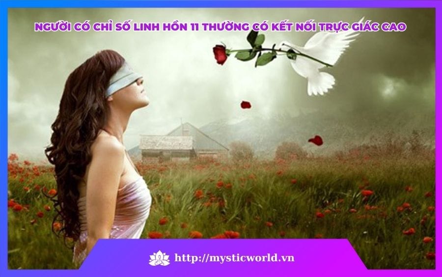 NGƯỜI CÓ CHỈ SỐ LINH HỒN 11 THƯỜNG CÓ KẾT NỐI TRỰC GIÁC CAO