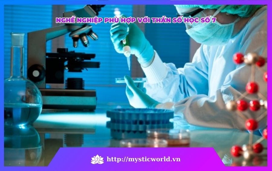 Nghề nghiệp phù hợp với thần số học 7