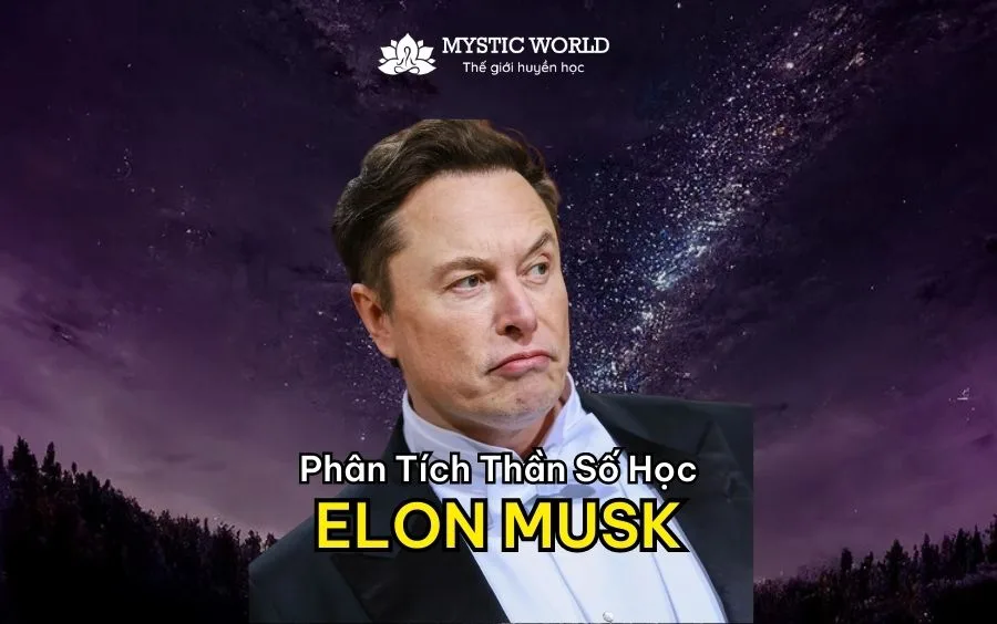 TIỂU SỬ, SỰ NGHIỆP CỦA ELON MUSK