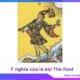 Ý NGHĨA CỦA LÁ BÀI THE FOOL TRONG TAROT