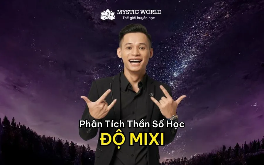 TIỂU SỬ, SỰ NGHIỆP ĐỘ MIXI