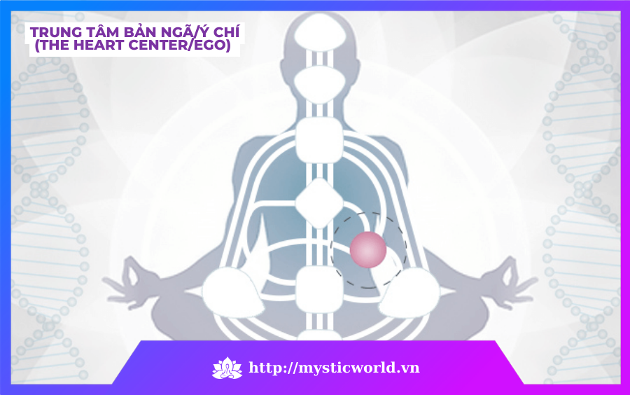 Trung tâm bản ngã/ý chí (The Heart Center/EGO)