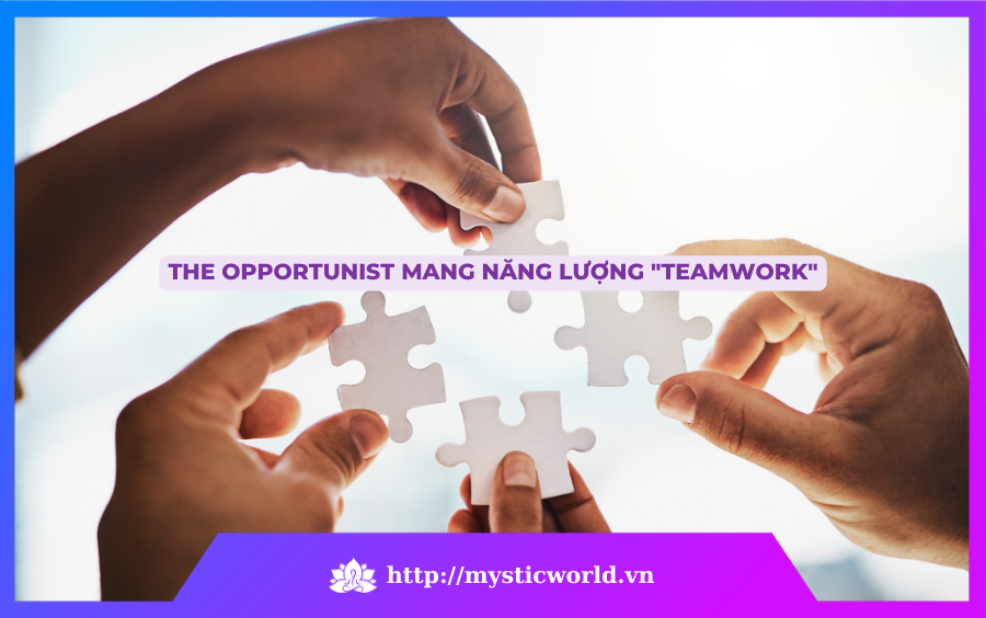 The Opportunist mang năng lượng "teamwork"