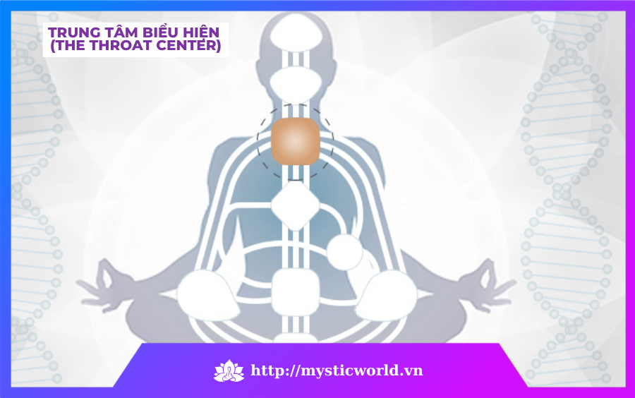 The Throat Center – Trung tâm Biểu hiện