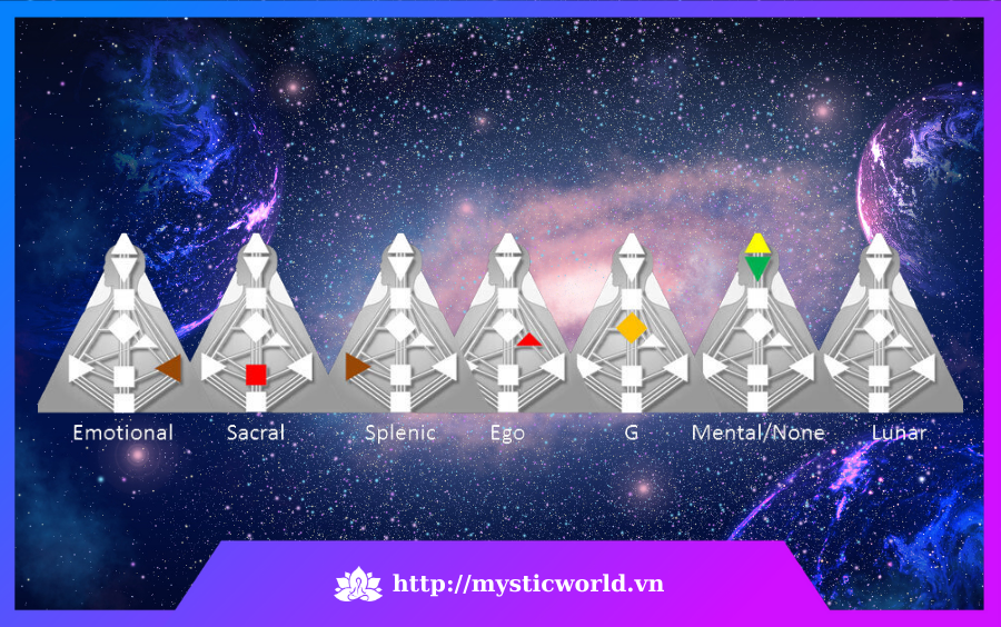 7 Thẩm quyền trong Human Design