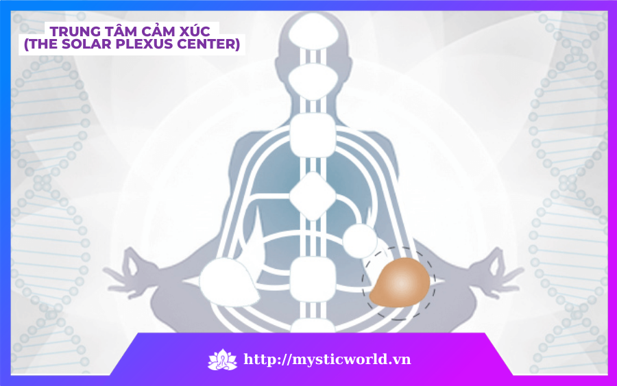 The Solar Plexus Center – Trung tâm cảm xúc