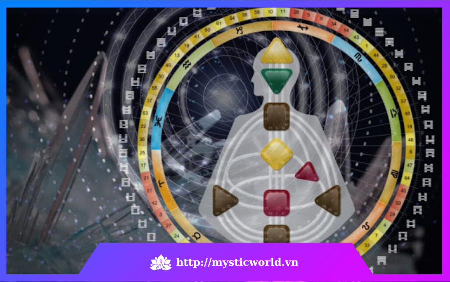 Human Design là hệ thống khoa học dựa trên kiến thức sinh học