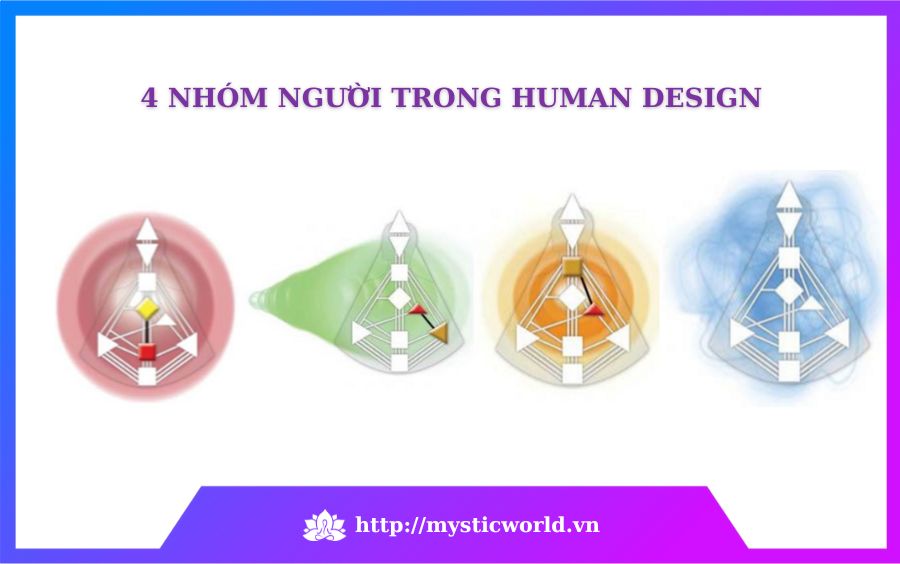 4 nhóm người trong Human Design