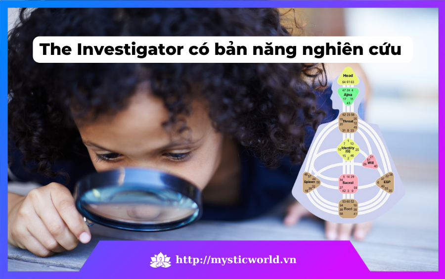 The Investigator (Người nghiên cứu khám phá) có bản năng nghiên cứu mạnh mẽ