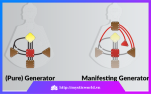 Dấu hiệu nhận biết Generator trong Body Graph