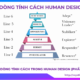Tìm hiểu về 6 Dòng tính cách trong Human Design (Phần 1)