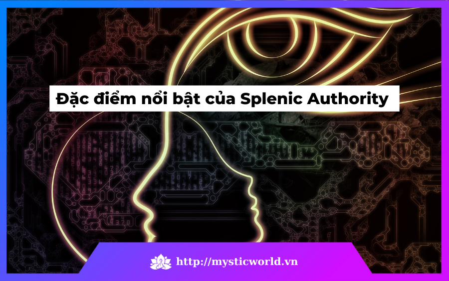 Đặc điểm nổi bật của Splenic Authority