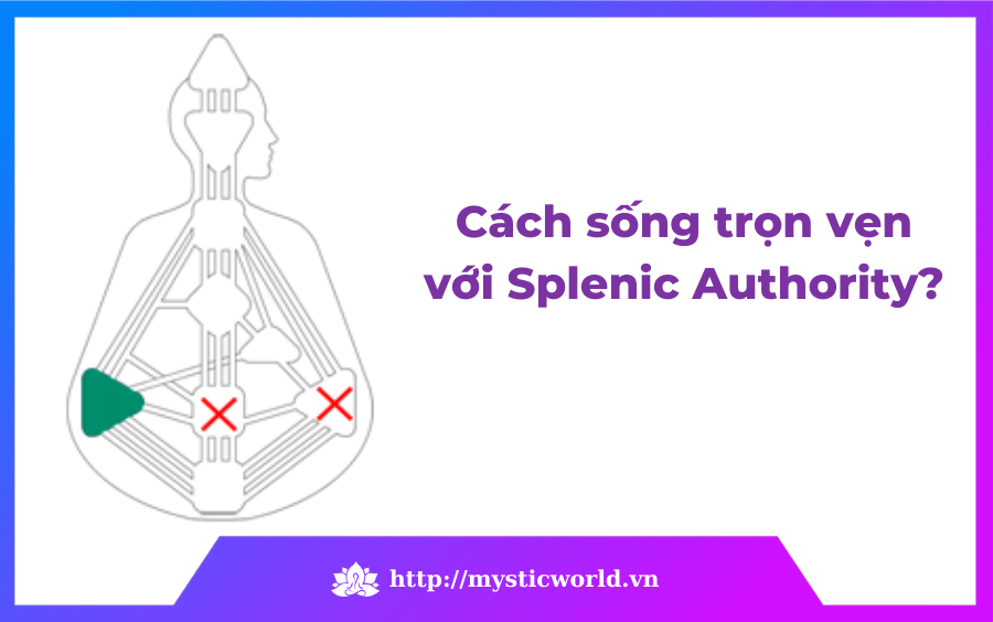 Cách để sống trọn vẹn với Splenic Authority