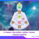 9 Trung tâm năng lượng trong Human Design