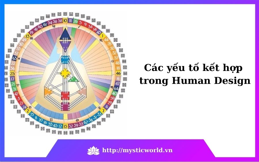 Các yếu tố kết hợp trong Human Design