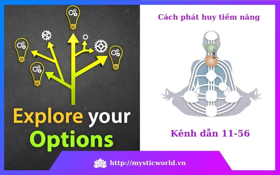 Cách phát huy tiềm năng của Kênh dẫn 11-56