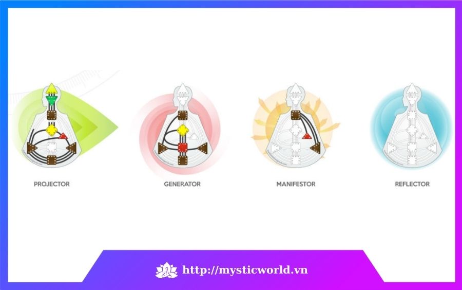 4 nhóm người trong Human Design