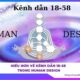 Hiểu hơn về Kênh dẫn 18-58 trong Human Design