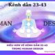 Hiểu hơn về Kênh dẫn 23-43 trong Human Design