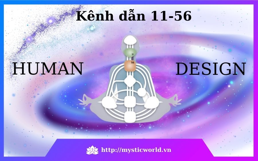 Kênh dẫn 11-56 là gì
