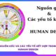 Nguồn gốc và các yếu tố kết hợp của Human Design