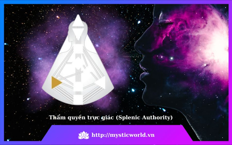 Thẩm quyền trực giác (Splenic Authority)