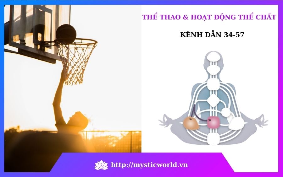 Thể thao và hoạt động thể chất