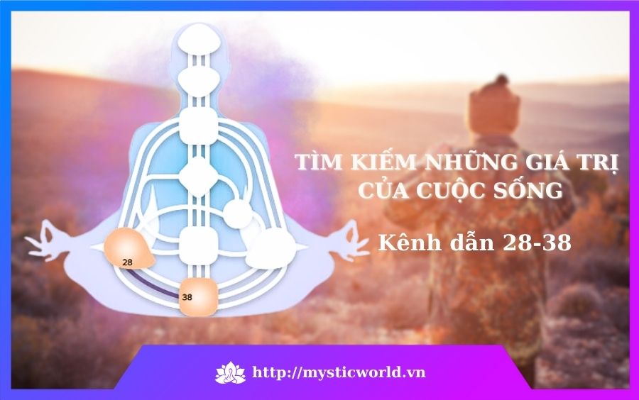 Tìm kiếm những giá trị của cuộc sống