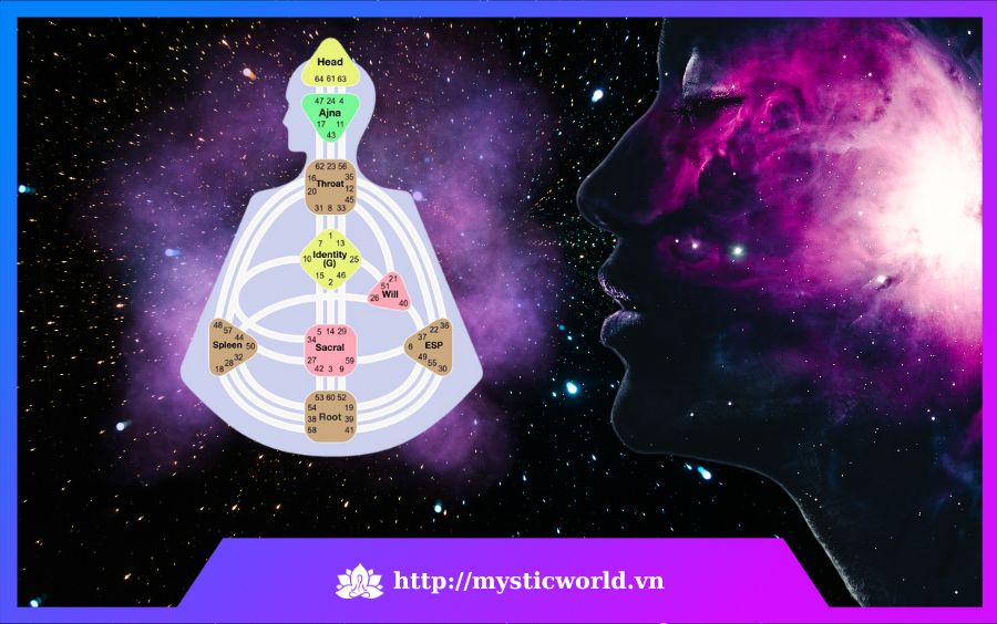 Tổng quan về 7 Thẩm quyền