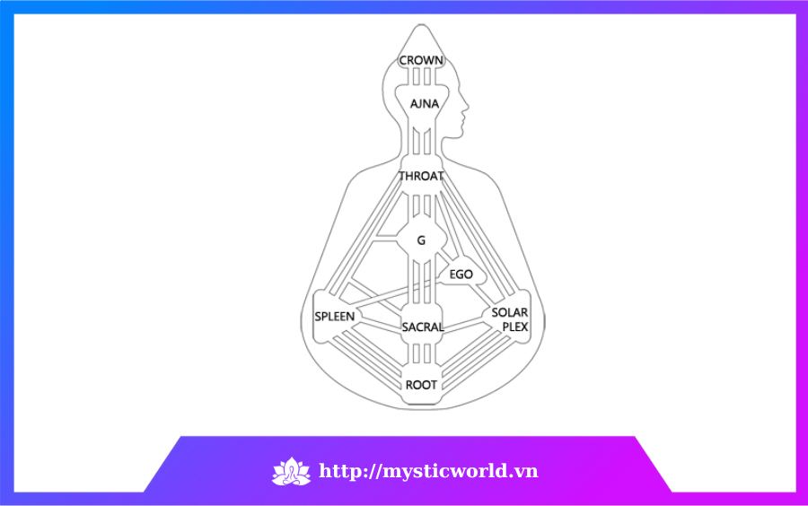 9 Trung tâm năng lượng trong Human Design