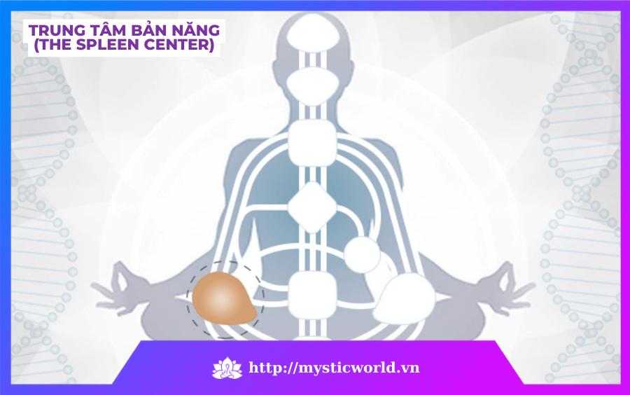 Trung tâm Bản năng(The Spleen Center)