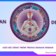 Giải mã vòng tròn trong Human Design