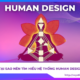 Tại sao nên tìm hiểu hệ thống Human Design?
