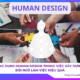 Ứng Dụng Human Design trong việc xây dựng đội ngũ làm việc hiệu quả