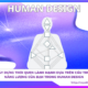 Human Design: Cách xây dựng thói quen lành mạnh
