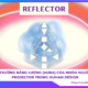 Trường năng lượng (aura) của nhóm người Reflector trong Human Design