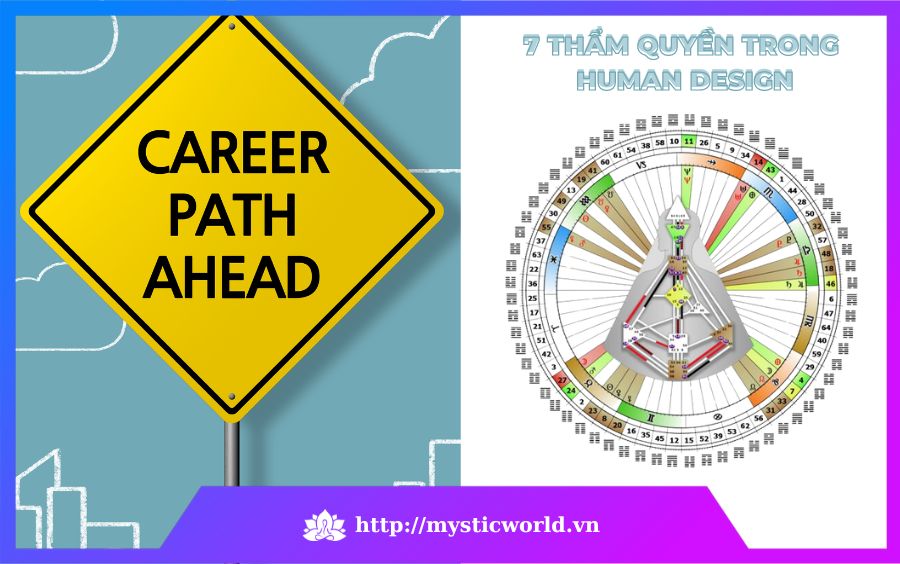 7 thẩm quyền trong Human Design