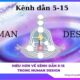 Hiểu hơn về Kênh dẫn 5-15 trong Human Design
