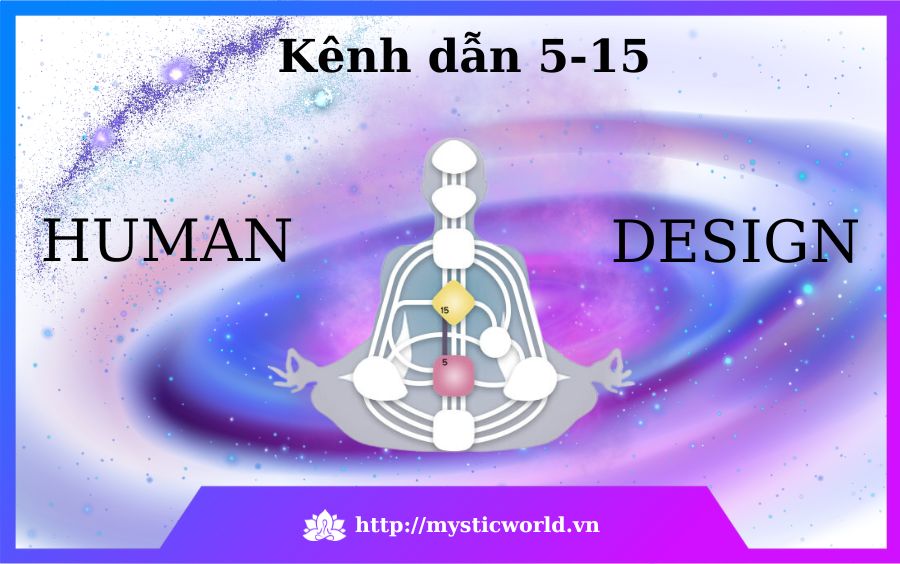 Kênh dẫn 5-15 trong Human Design