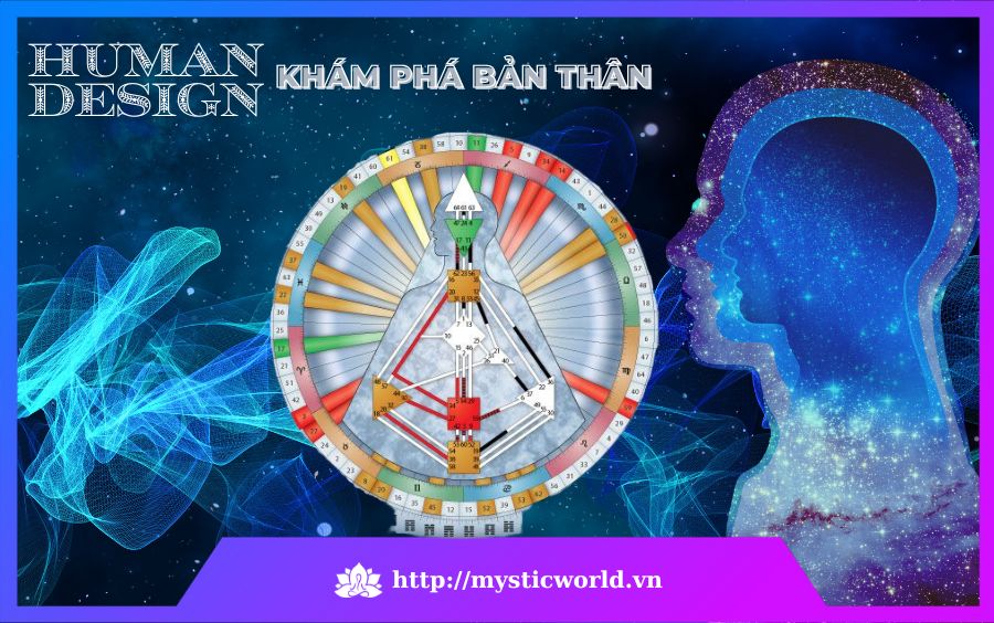 Khám Phá Bản Thân Qua Human Design