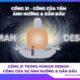Cổng 31 Trong Human Design - Cổng Của Tầm Ảnh Hưởng & Sự Dẫn Đầu